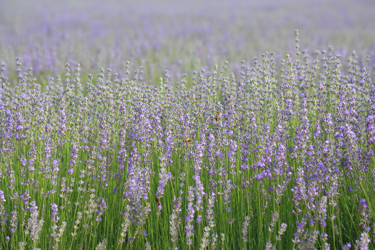 神戸新聞文化センター 三宮KCC